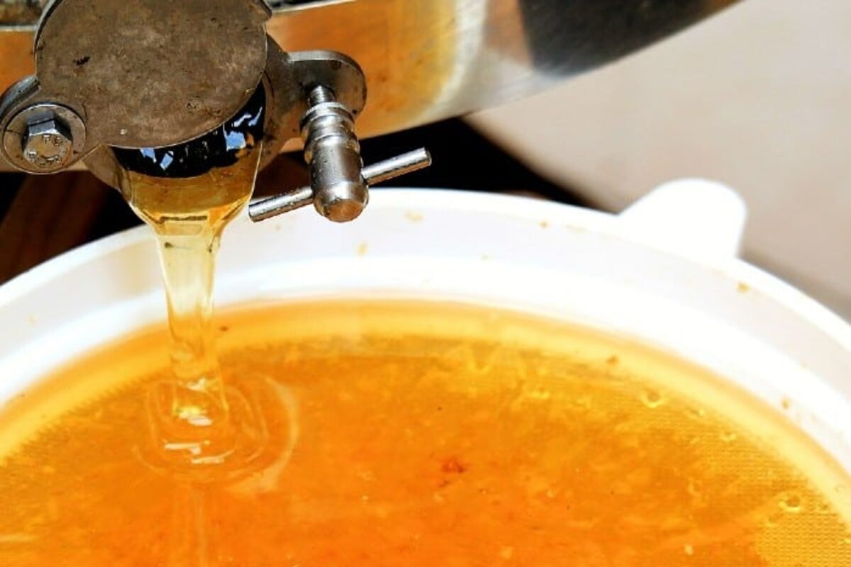 11 Best Honey Extractors in 2022: Detailed Reviews