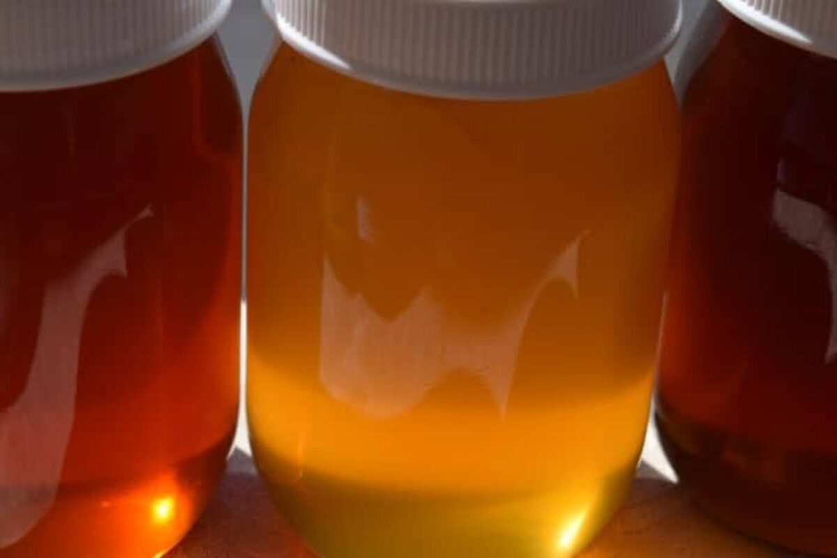 Light Honey vs Dark Honey: Complete Review