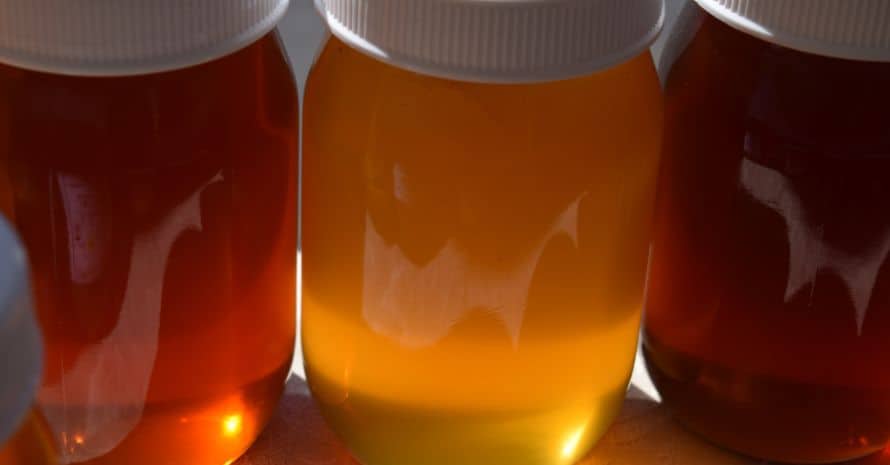 The different colors of honey