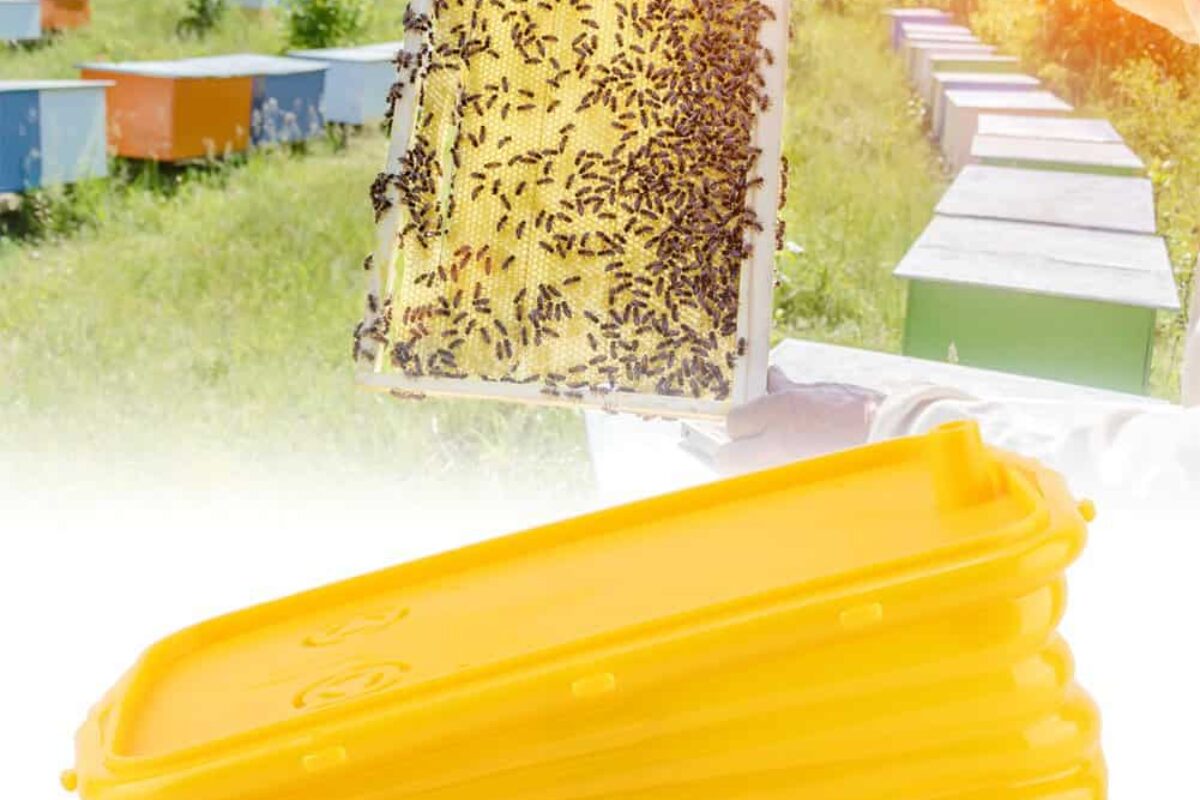 Keep Bees At Bay with Bee Away Spray – The Essential Tool for Beekeeping