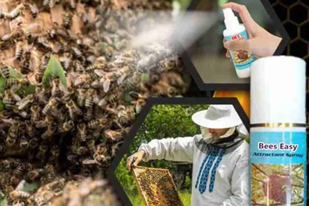 Beekeeping: How to Effectively Use Bee Yard Spray for Optimal Bee Care