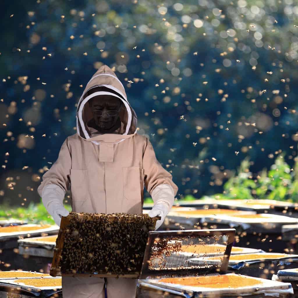 Beekeeper Protection