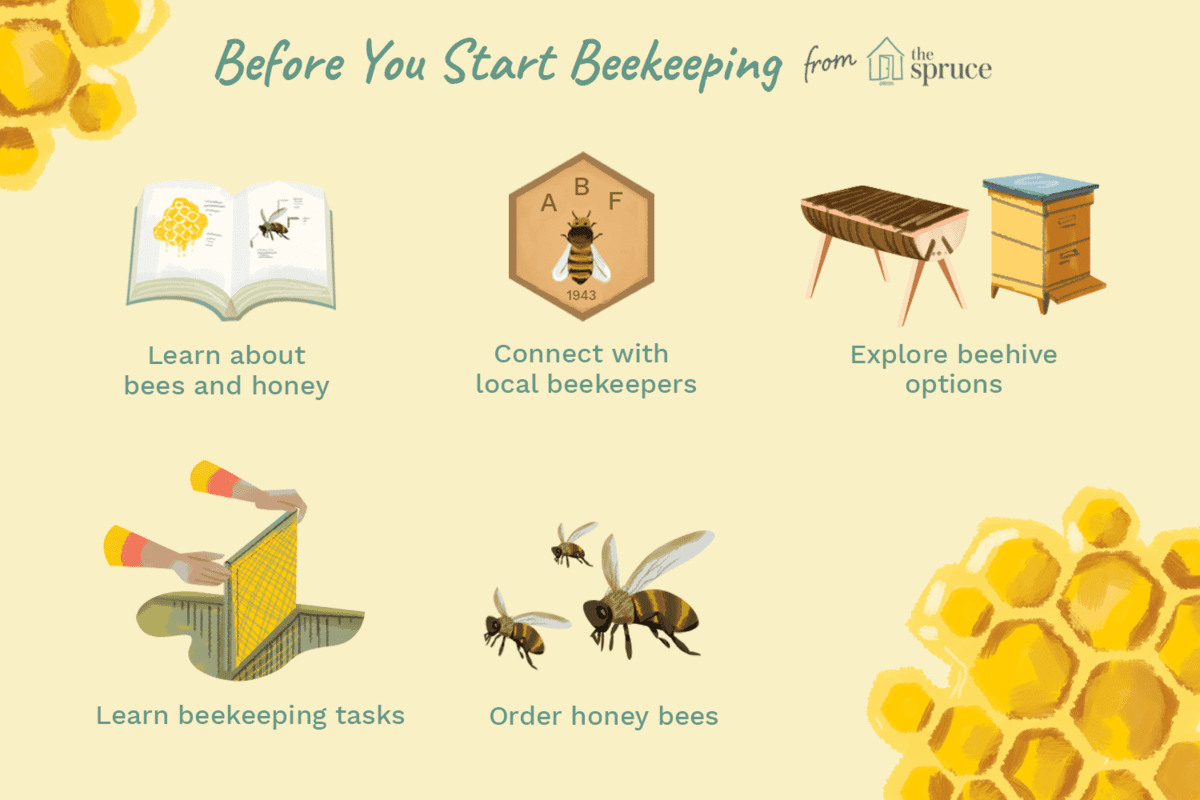 Beekeeping For Beginners