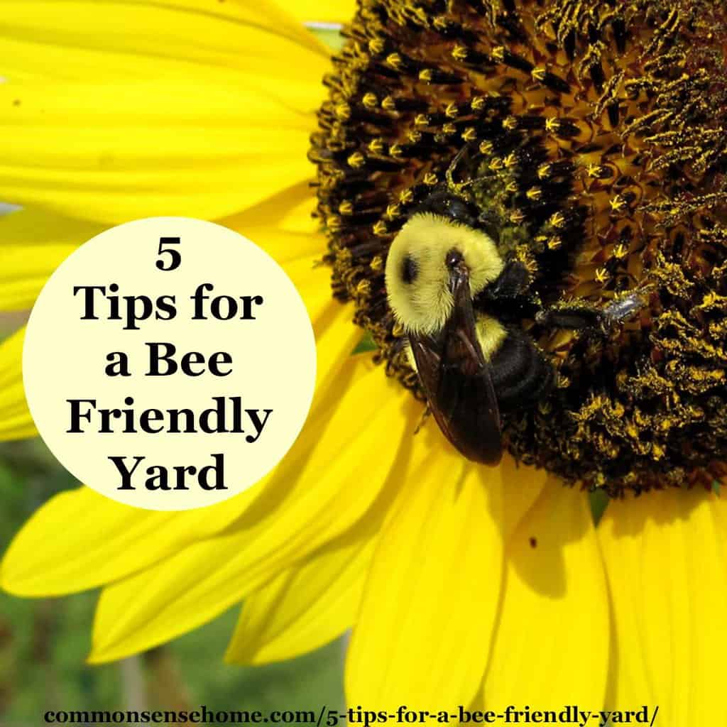 Benefits Of Keeping A Bumblebee In Your Home