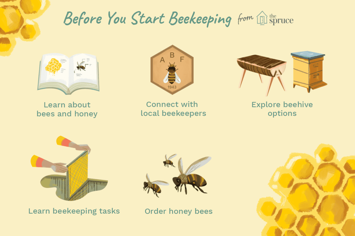 Caring For Your Small Honey Bees