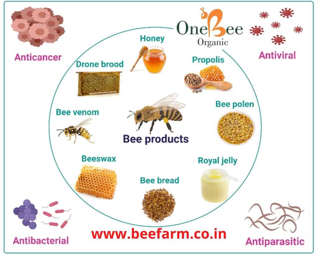 Common Honeybee Products