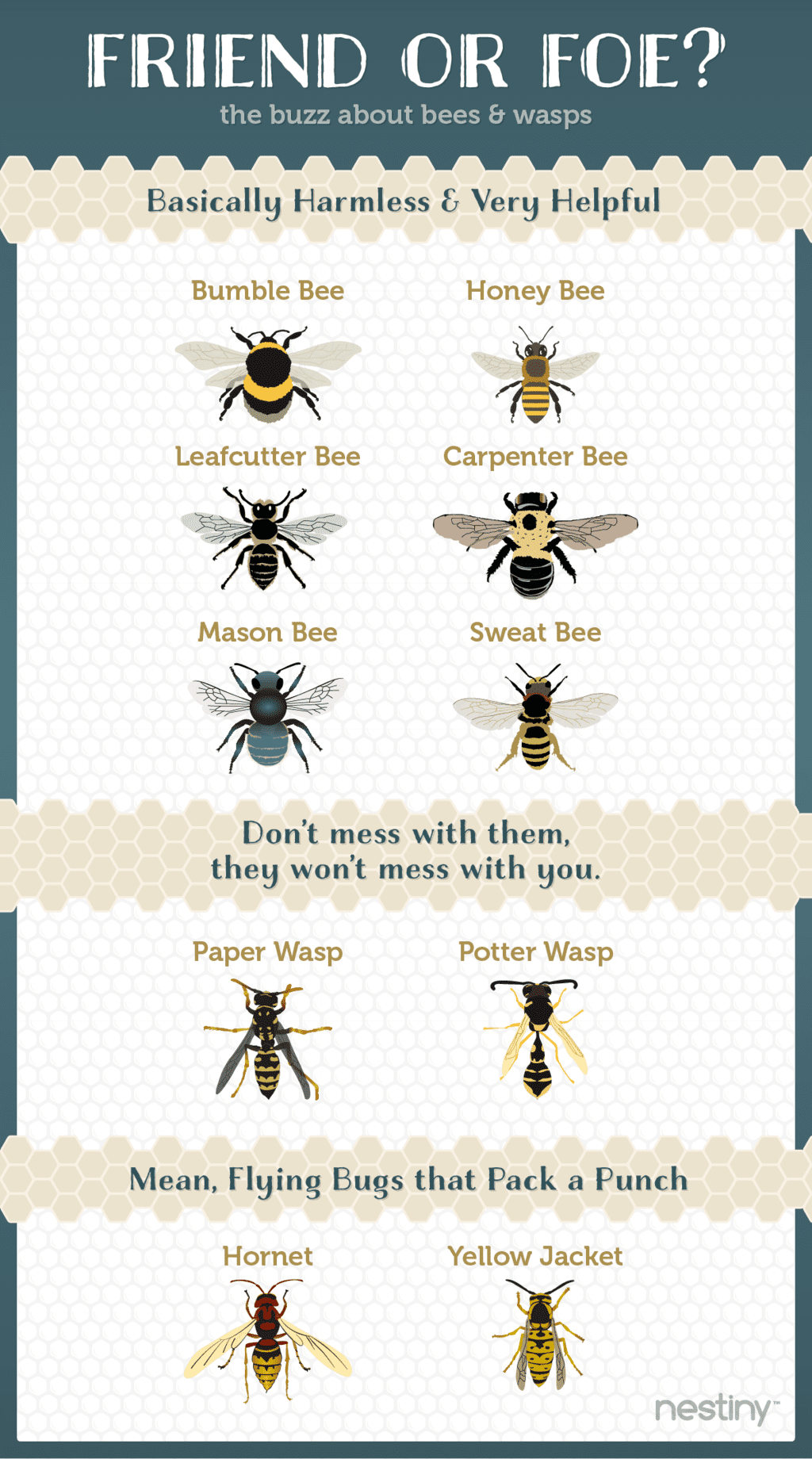 Comparison Of Bumblebee Vs Mason Bee
