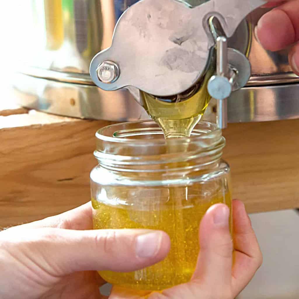 Honey Hardened In Bottle