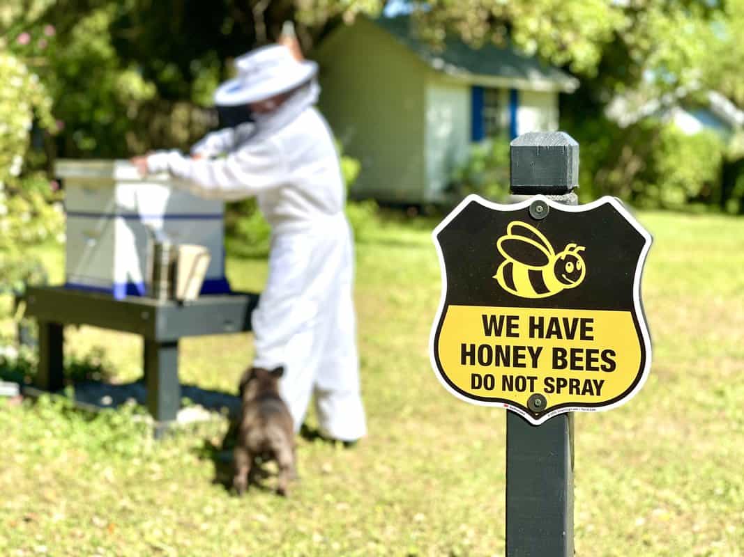 How To Apply Bee Yard Spray
