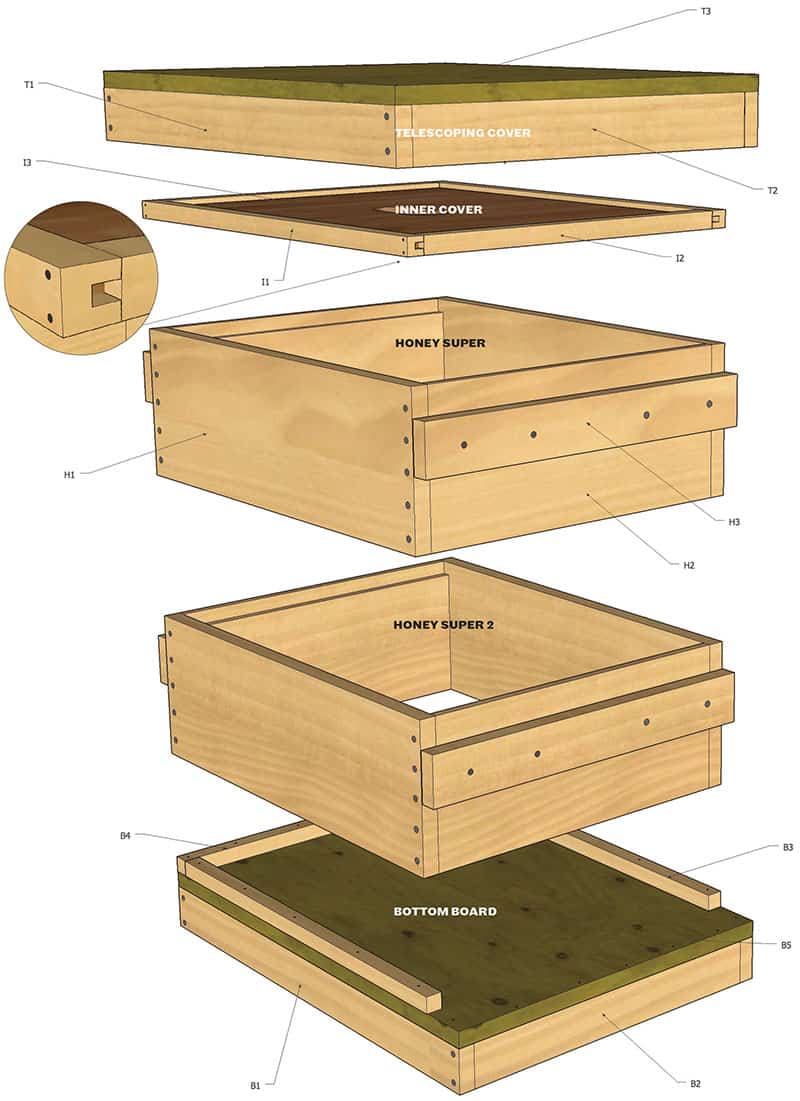 How To Construct A Hive