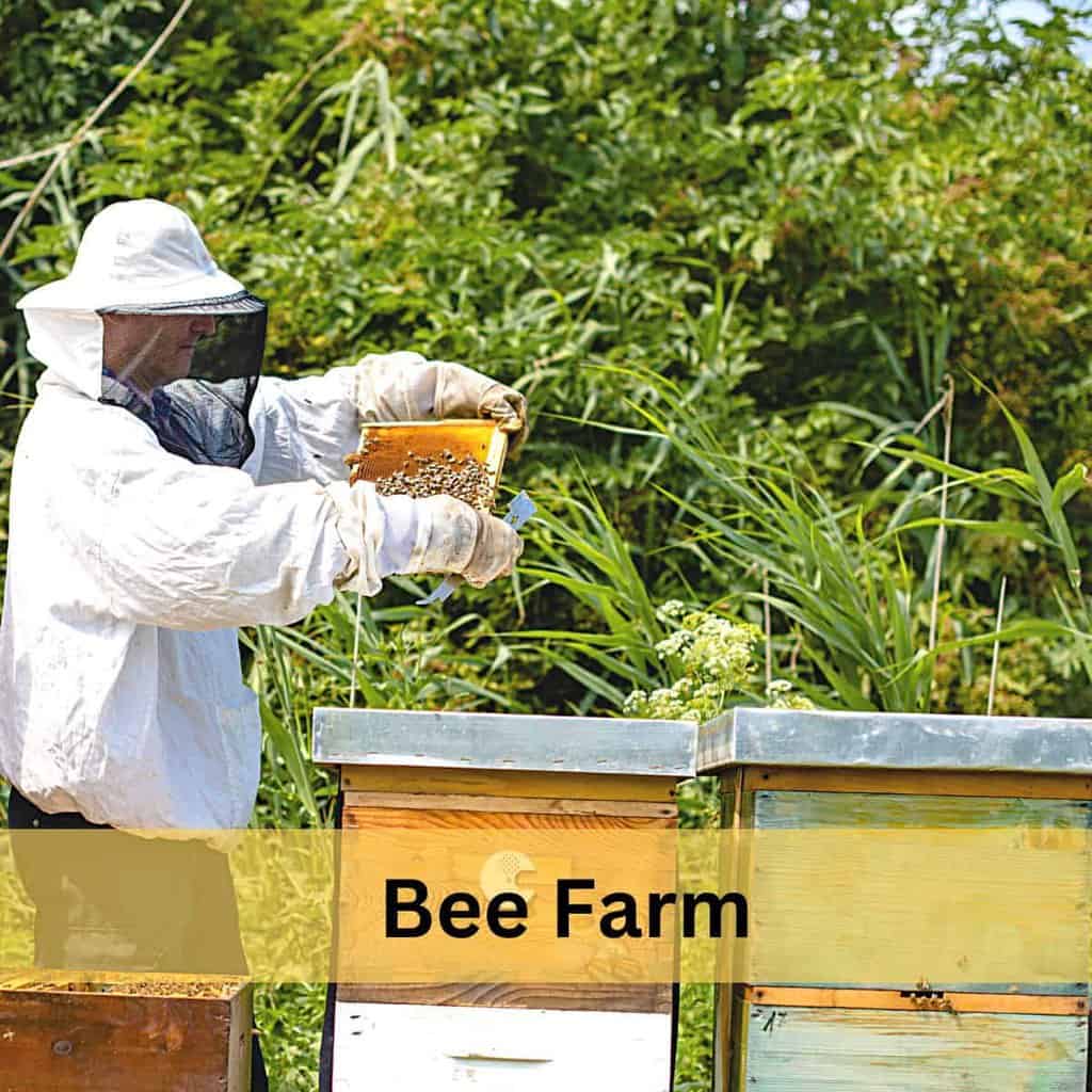 How To Get The Best Results From Your Beekeeping Spray