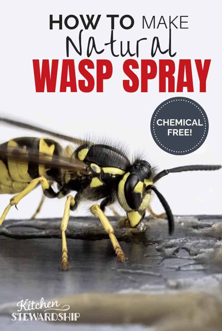 How To Make A Natural Bee Killer Spray At Home