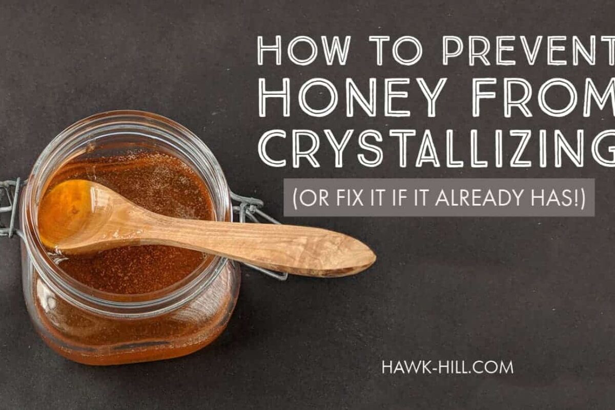 Beekeepers: Learn How to Quickly and Easily Melt Honey Crystals!