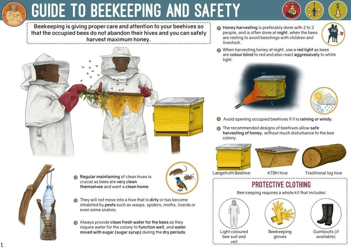 How To Stay Safe From Bees