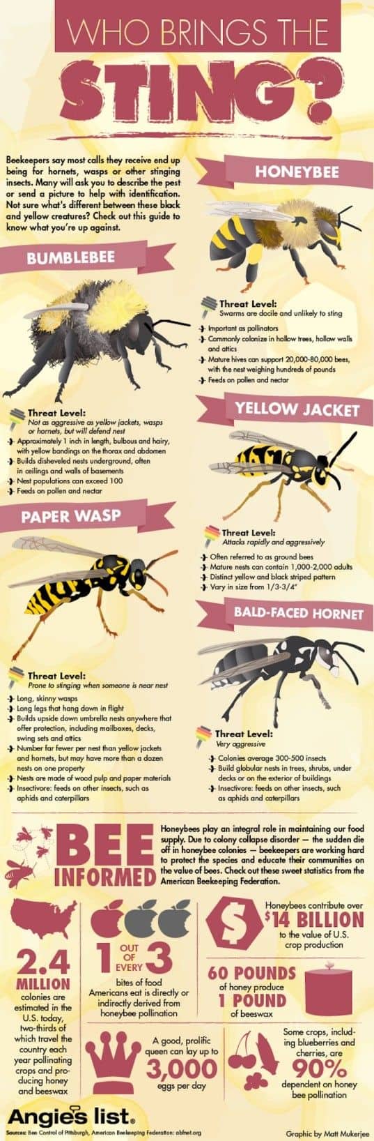 Identification Of Aggressive Bee Species