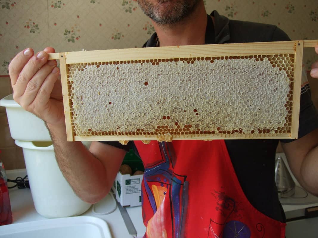 Step 3: Pour The Honey Onto The Tray