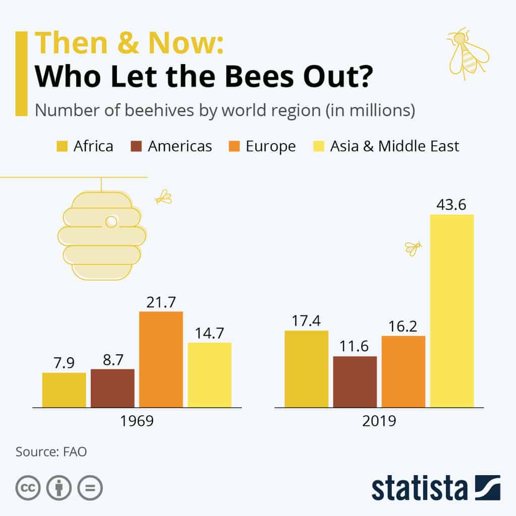 The Decline Of Bees