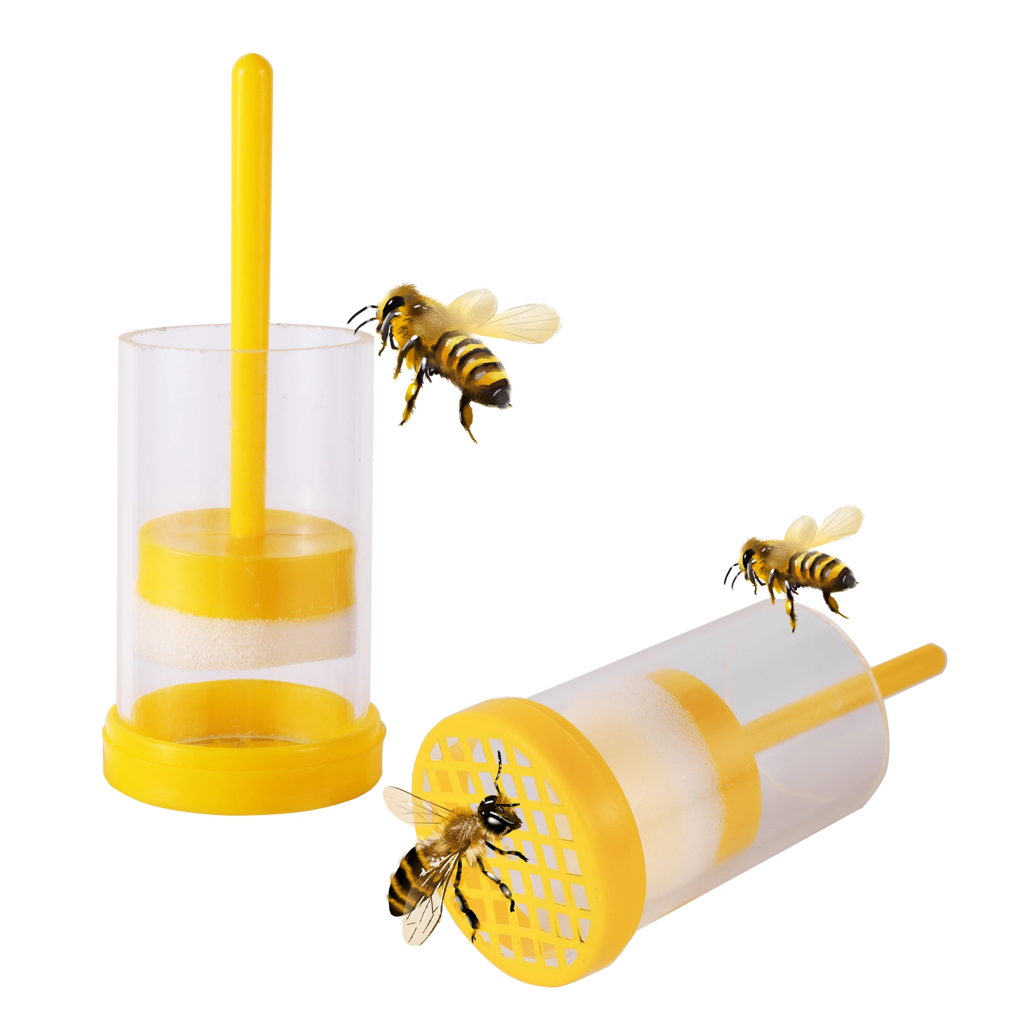 Tools For Identifying A Queen Bee