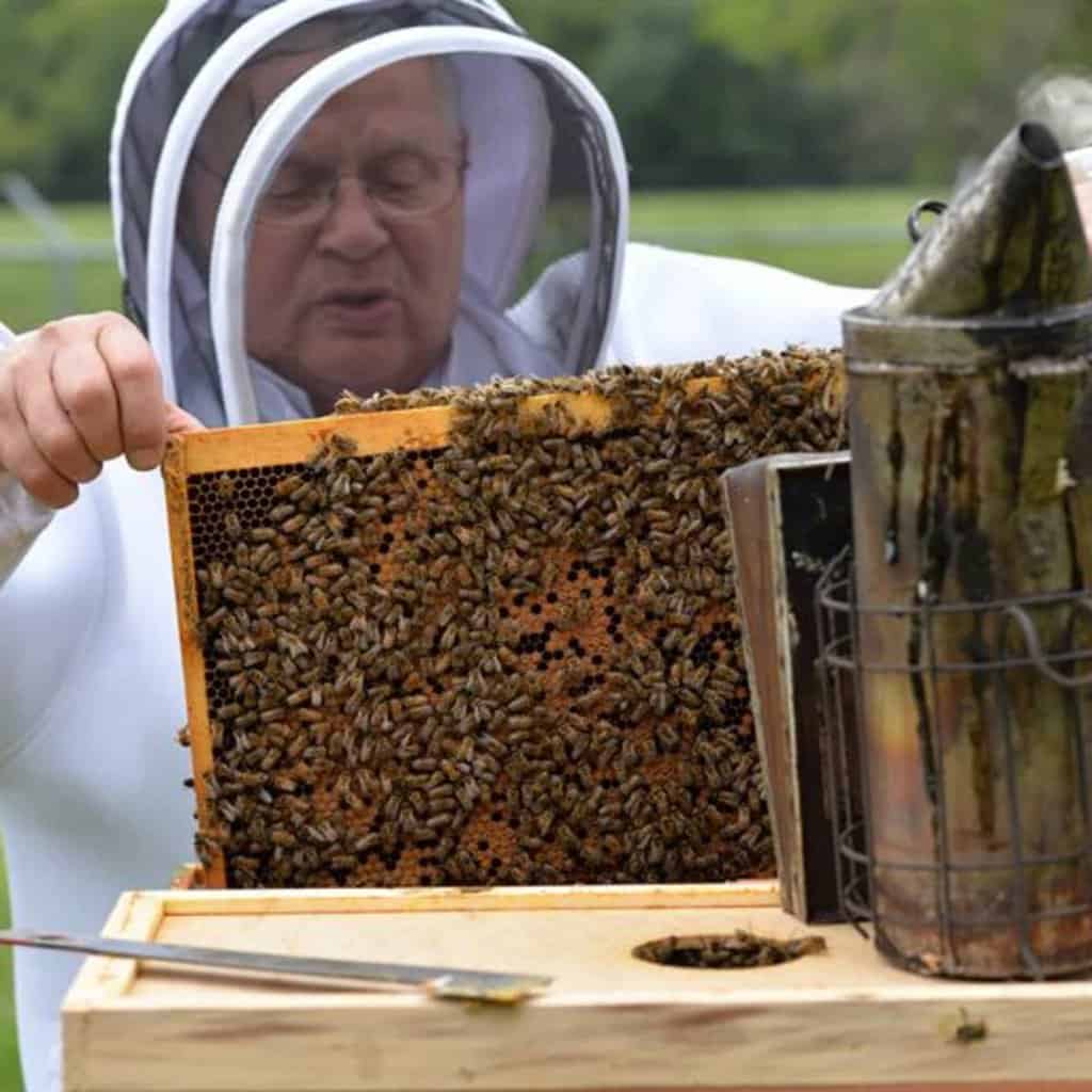 What Does A Beekeeper Do?